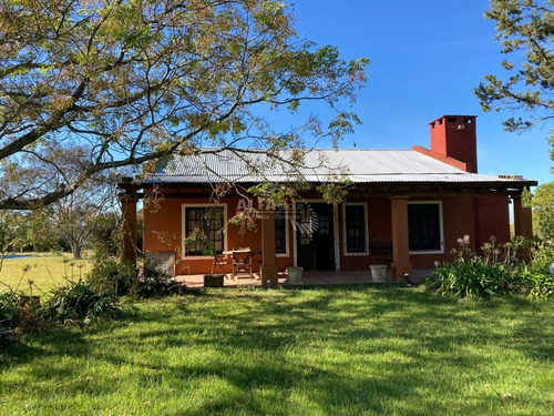 Imagen 7 de 10 de Chacra En Venta Con Casa,ruta 12 - Maldonado Ruta 9