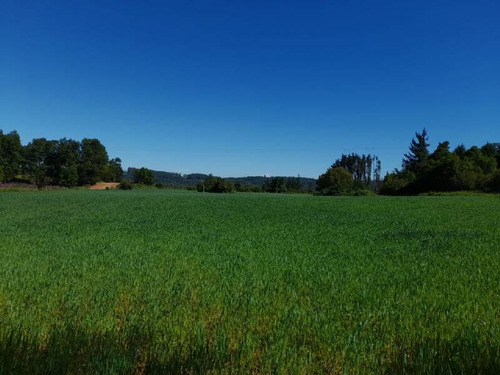 Se Vende Hermoso Campo En La Unión