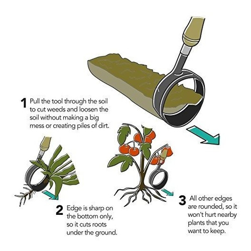 Diseño De Zanahoria Circular Hoe Hand Weeding Tool