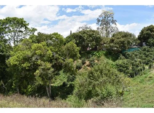 Se Vende Lote En Quimbaya Quindío