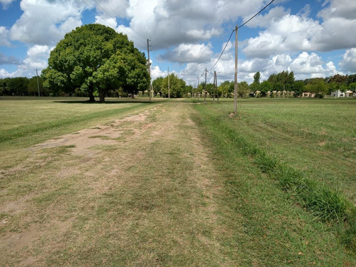 Imagen 3 de 7 de Terreno En Venta En Lobos