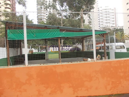 Imagem 15 de 15 de Localização Nobre - Nm2980