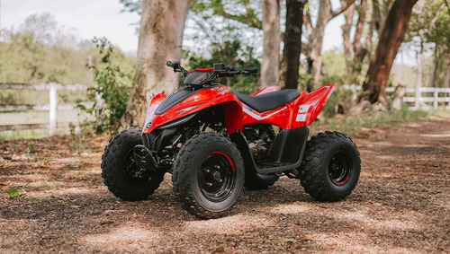 Quadriciclo Cfmoto Cforce 110 Lv 4 Tempos