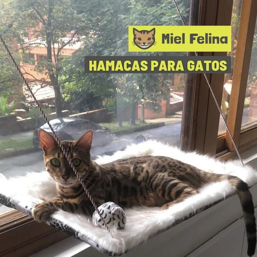 Imagen 2 de 3 de Hamacas De Ventana Para Gatos - U - Unidad a $60000