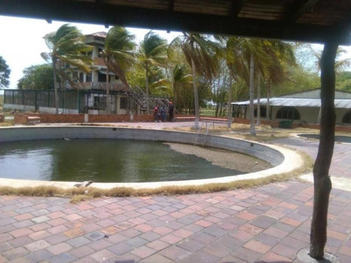 Imagen 4 de 19 de Finca Agropecuaria En Guárico Con Pista De Aterrizaje