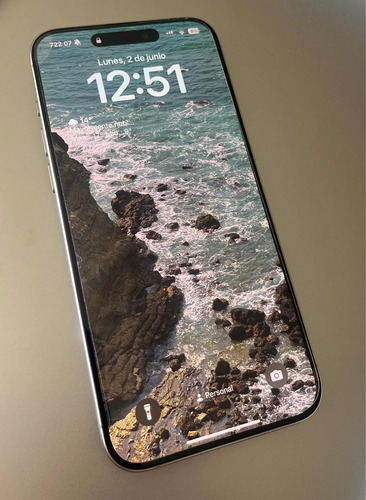 iPhone 15 Pro Max 256 Gb Usado