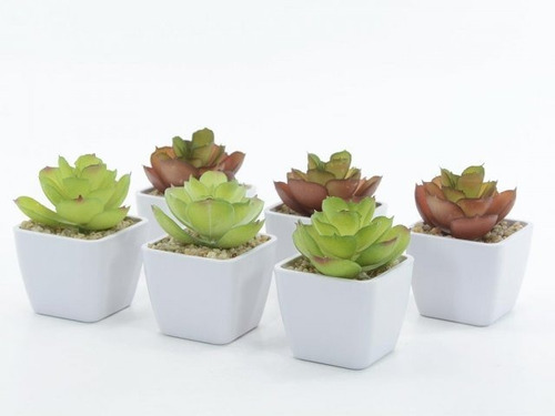 Mini Cactus Suculentas Planta Artificial Decorativa X 12u