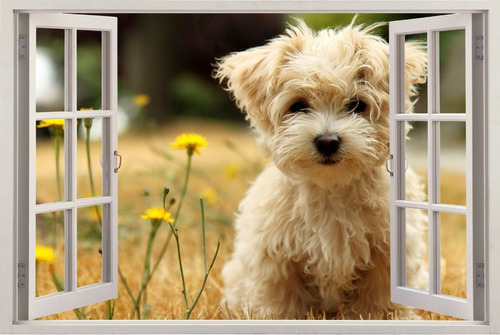 Adesivo Janela Parede Cachorrinho Cachorro Natureza Fofo 3d