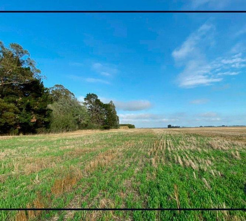 Imagen 1 de 6 de Venta Campo 51 Ha Papero