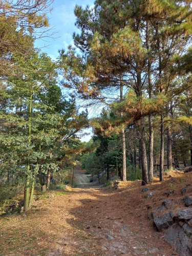 Complejo De Cabañas En Villa Yacanto Oportunidad De Inversión En El Corazón De Las Sierras