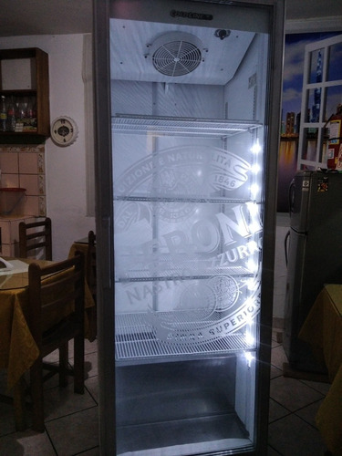 Visicooler Exhibidora Conservadora Vertical Pisco Ica