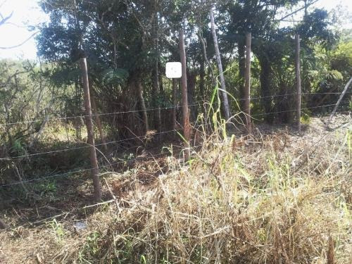 Imagem 2 de 2 de Terreno Em Peruíbe Com Aguá E Luz | 6426 E