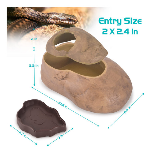Cueva Serpiente Hábitat Natural Para Reptiles Gecko Serpient