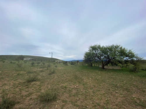 Rancho En Venta En Villa Hidalgo Durango