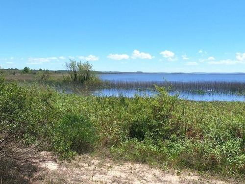 Imagen 4 de 17 de Terreno De 4.374 Mts2 Con Costa A Laguna Del Sauce