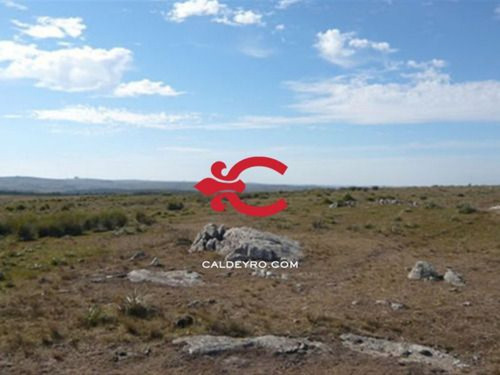 Campo En Lavalleja Ideal Forestación Ref. 384