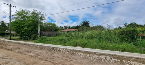 Imagem 8 de 8 de Terreno No Balneário Gaivota Em Itanhaém, Com 384 M² De Área Total