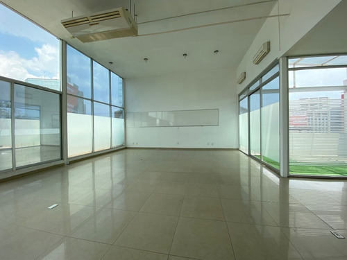 Renta Oficina 600 M2 Ph En Polanco - Horacio