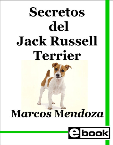 Jack Russell Terrier  Libro Adiestramiento Cachorro Adulto