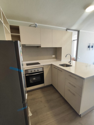 Arriendo Departamento 1 D 1 B Bod Y Terraza Semi Amoblado