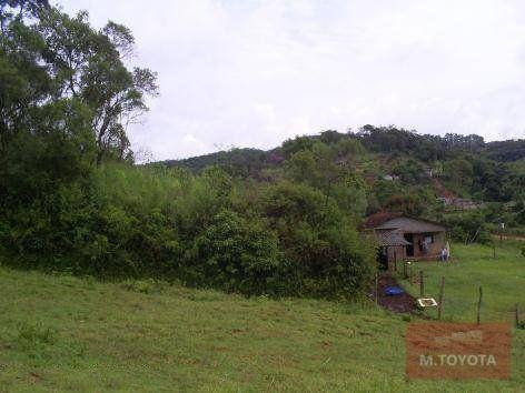 Imagem 13 de 20 de Sítio À Venda, 163000 M² Por R$ 650.000,00 - Vargem Do Salto - Ibiúna/sp - Si0001