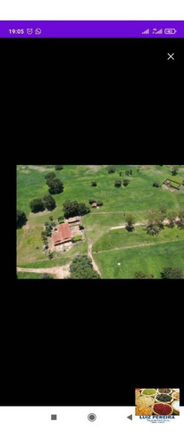 Imagem 3 de 10 de Fazenda À Venda Em Dois Irmãos - To - De 124 Alqueirões (dupla Aptidão) - 1627