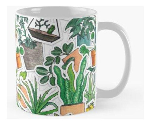 Taza ¡todas Las Plantas De Interior! ¡de Repente! Calidad Pr