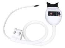 Comprar Acelerador Led Blanqueamiento Dental Braz 3 Luces