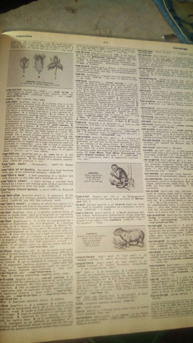Webster's Enciclopedic Unabridged Dictionary Of The English (Usado)