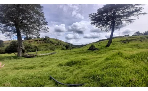 Venta De finca En Santa Rosa De Osos, Antioquia