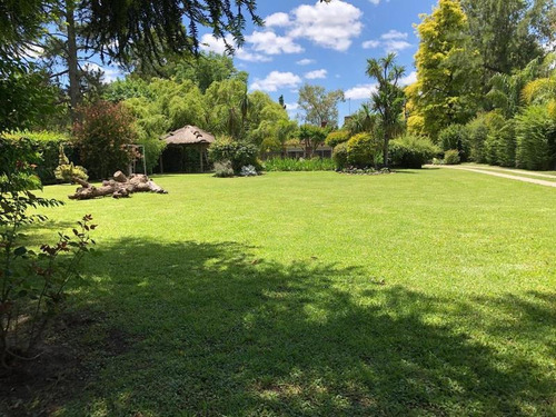 Imagen 7 de 30 de Casa Quinta Sobre Parque De 1834 M2 - El Trébol