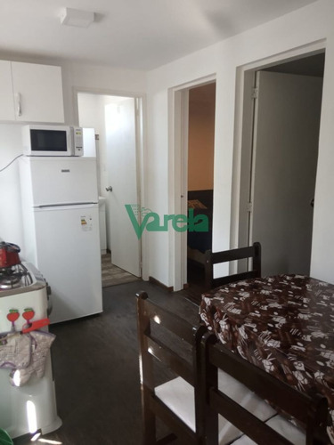 Imagen 8 de 9 de Venta 2 Contenedores Independientes En San Luis - Balnearios San Luis
