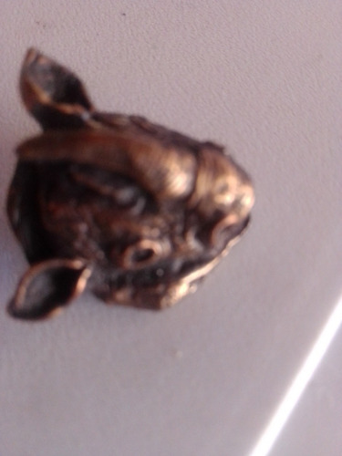 Pines, Colección Animales Salvajes Africanos