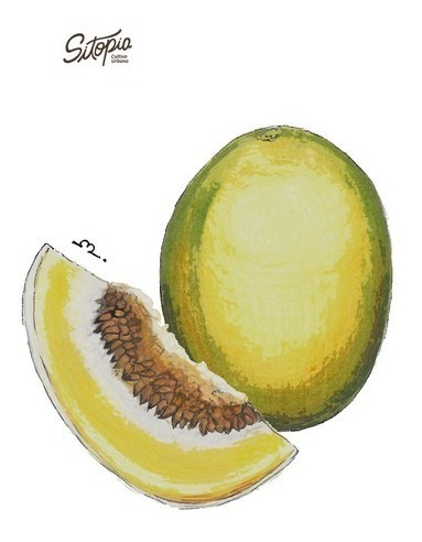 Semillas De Melón Honeydew Sitopia