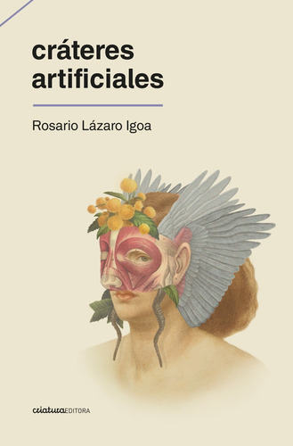 Cráteres Artificiales - Rosario Lazaro Igoa