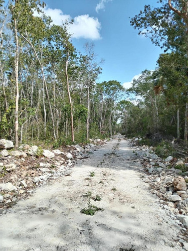 Terrenos En Tulúm&francisco Uh May: Naturaleza, Inversión Y Financiamiento Fácil