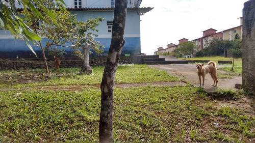 Imagem 4 de 7 de Area - Ar00003 - 70456493
