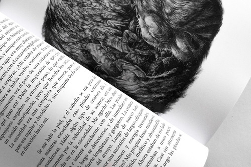 Relatos Macabros De Arthur Doyle Ilustrados
