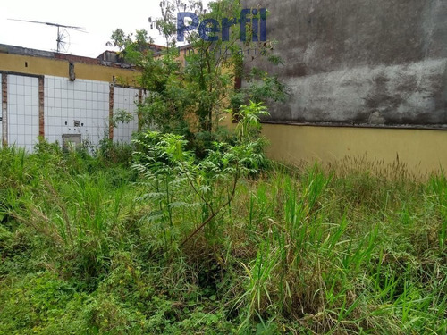 Imagem 3 de 3 de Terrenos - Urbano - 1603