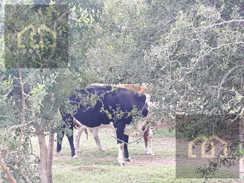 Imagen 11 de 15 de Campo Premium Para Country - Barrio Privado
