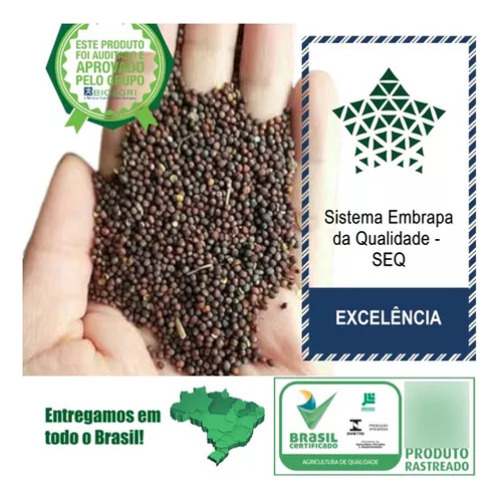 100 Sementes Batata Doce Premium Com Manual De Cultivo