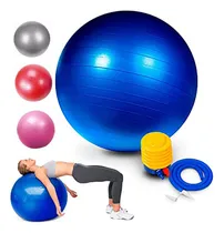 Comprar Pelota De Pilates 70cm Con Inflador Yoga Pilates - Sportex