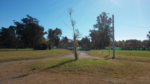 Lote En Bº Semicerrado El Álamo, La Bota