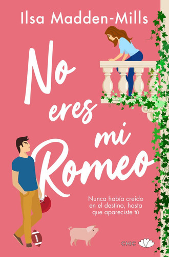 Libro No Eres Mi Romeo - Ilsa Madden Mills