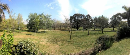 Imagen 13 de 30 de Lindísima Casa Al Bosque - En Venta - Castores Nordelta - Bajó De Precio!