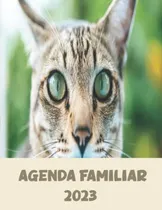 Comprar Agenda Familiar 2023: Calendario Mensual Planificador 12 Mes