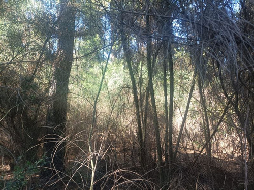 Parcela En Venta En Pucón Cond El Alba