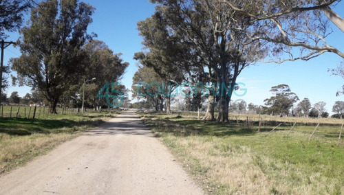 Imagen 3 de 3 de Lote En Venta En Barrio El Casal