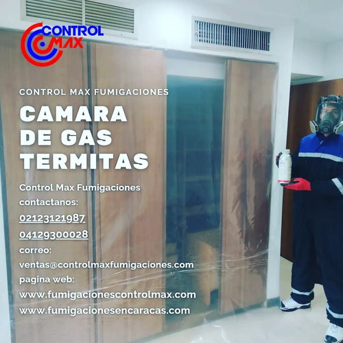 Imagen 5 de 10 de Servicio De Fumigacion Chiripas Pulgas Termitas Acaros