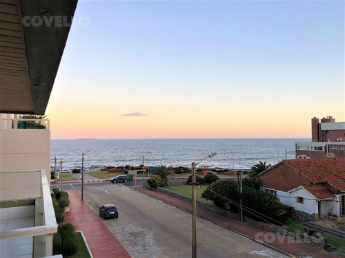 Imagen 13 de 19 de Departamento - Península